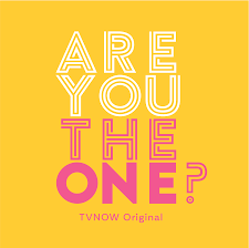 Are-you-the-one-Logo